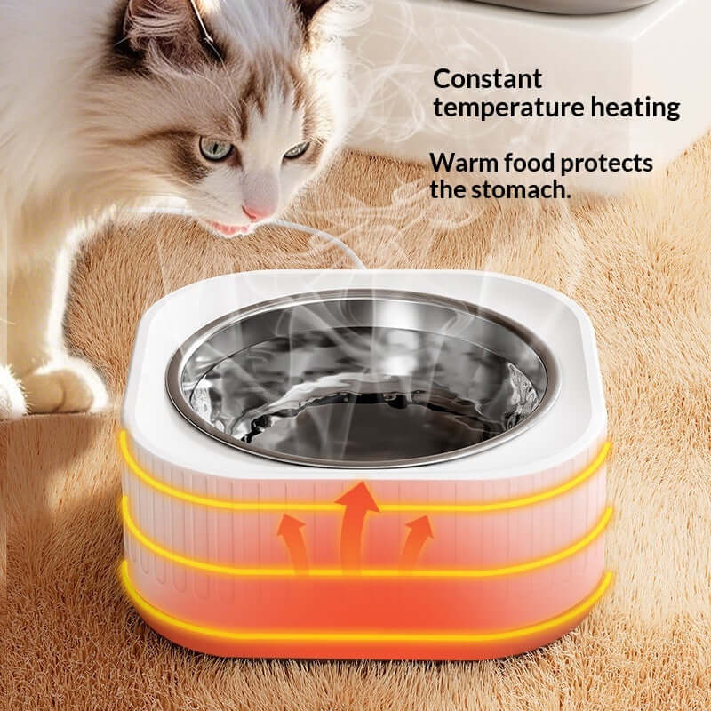 Simple Home-use Stainless Steel Water Bowl With Constant Temperature For Cats