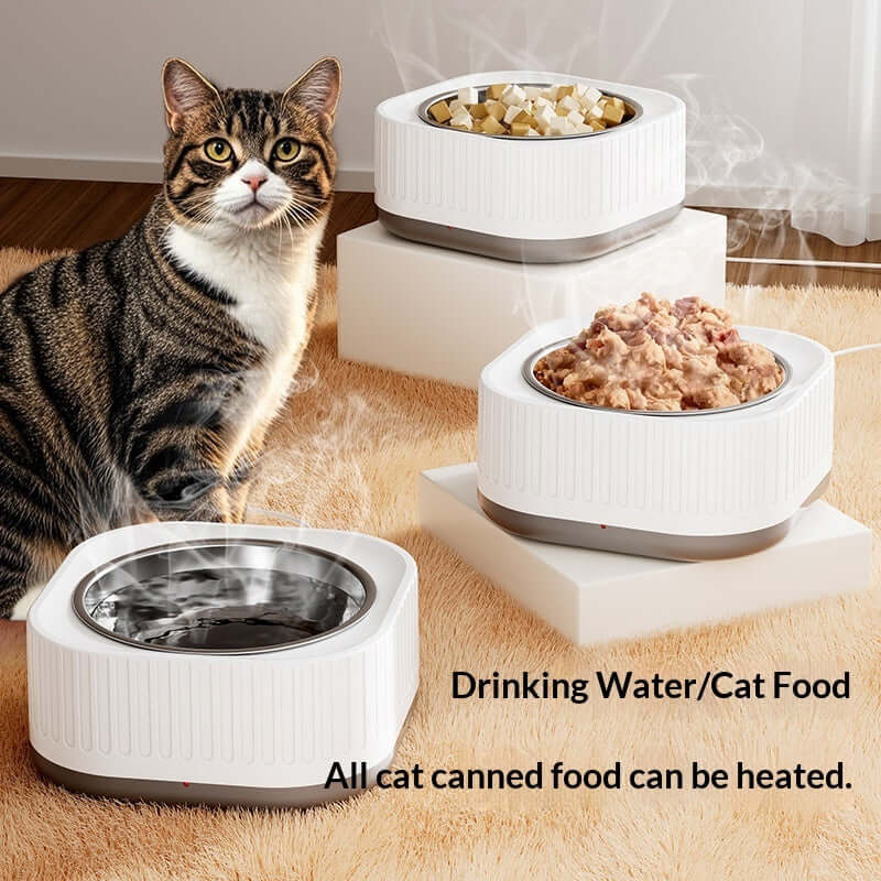 Simple Home-use Stainless Steel Water Bowl With Constant Temperature For Cats