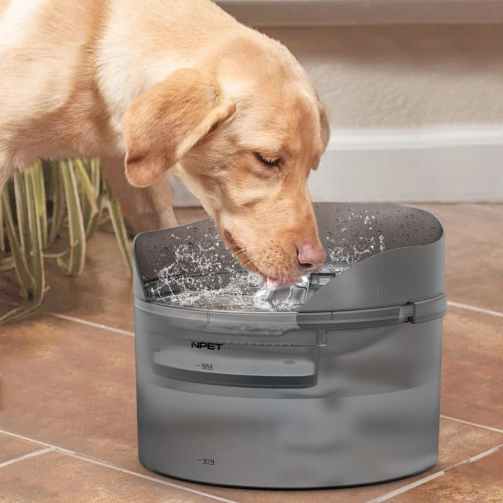 Cat And Dog Dispenser Automatic Circulation Flowing Water